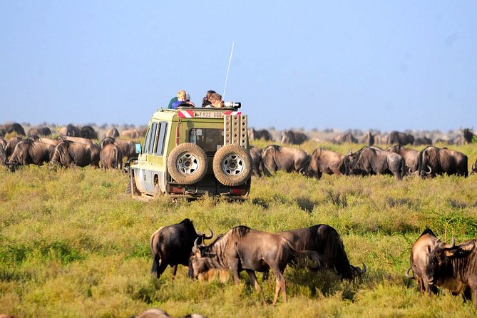 8 Days 7 Nights Tanzania Wildlife & Culture Lodge Safari - Authentic Maasai Cultural Experiences