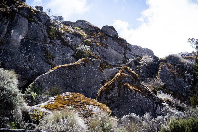 8 Days Climbing Mt.Kilimanjaro (Lemosho Route) - Accommodation and Amenities