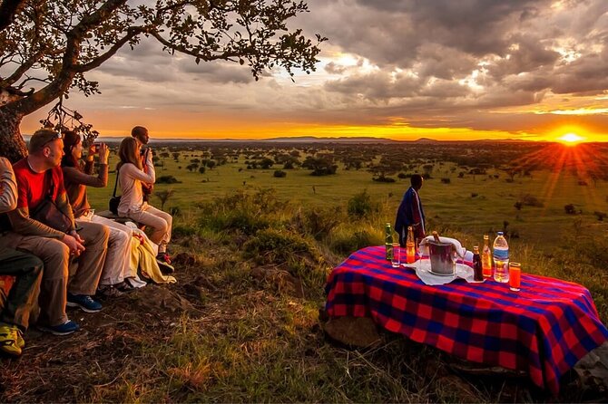 8 Days Fantastic Safari of Tanzania Midrange Tour - Accommodation and Meals