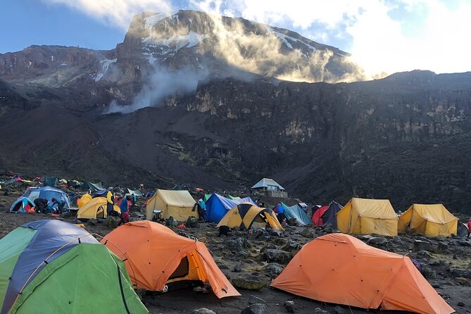 8 Days Kilimanjaro Hike via Lemosho Route - Safety Protocols and Precautions