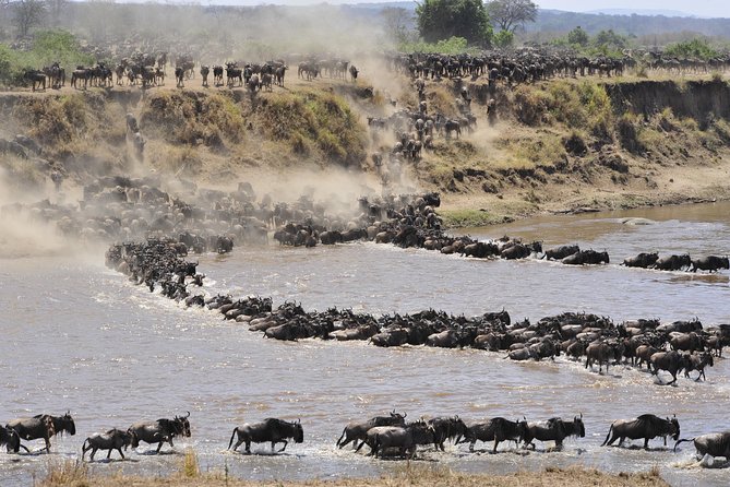8 Days Tanzania Wildlife Safari Experience - Departure and Post-trip Reflection