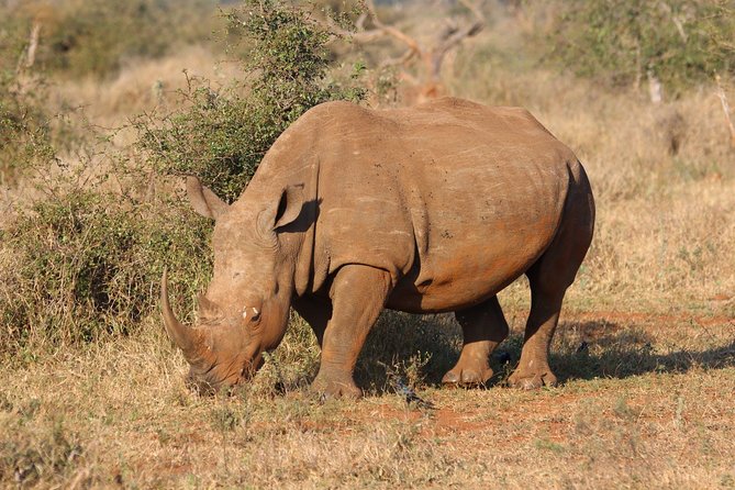 8 Days Uganda Primate & Wildlife Safari Tour - Booking and Pickup Information