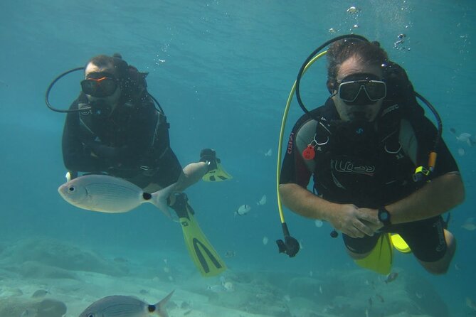 8-Hour Scuba Diving Experience in Side With Lunch - What to Bring