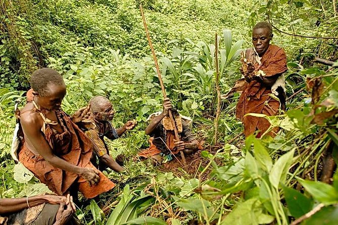 9 Days Adventure And Wildlife Safari - Health and Safety Considerations
