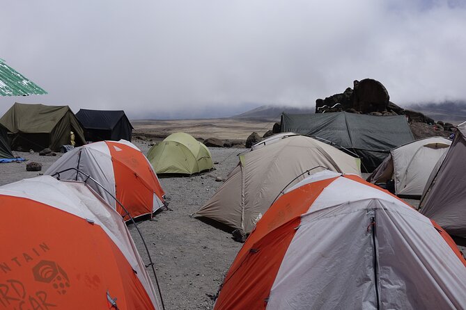 9 Days Kilimanjaro Climb via Lemosho Route - Booking Process