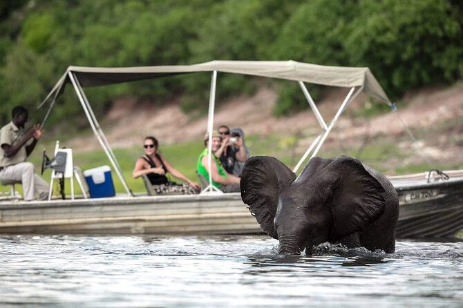 A Chobe Full Day Tour - Botwana - Pickup and Logistics Details