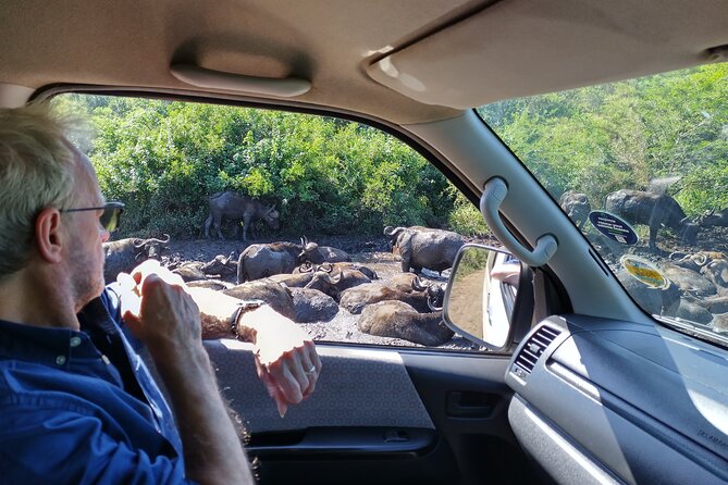 A Full Day Safari Tour to the Hluhluwe Imfolozi Big 5 Game Reserve - Pricing and Cancellation Policy