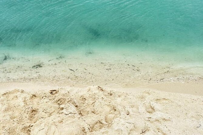 A Half Day Private Prison Island Tour - Customer Reviews and Ratings