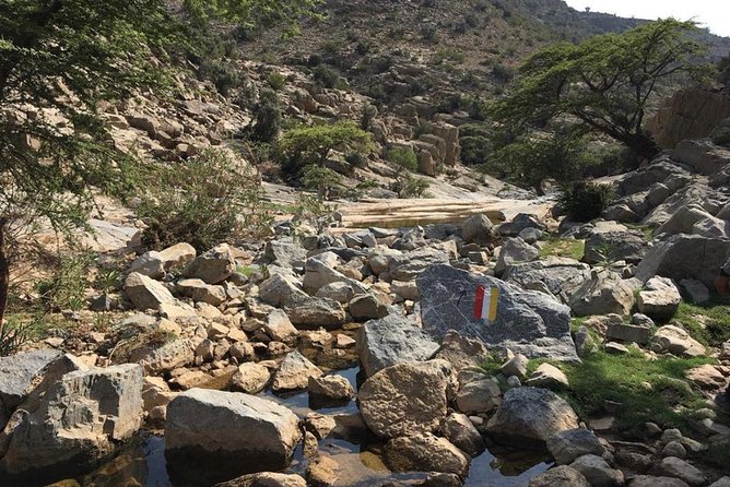 A Mirage In The Mountain - Exclusions to Note