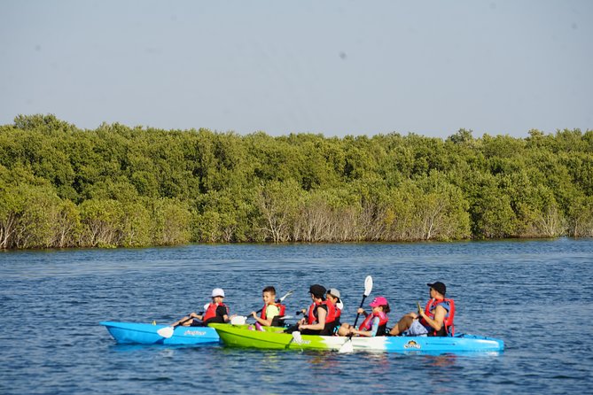 Abu Dhabi Eastern Mangrove Lagoon National Park Kayaking - Guided Tour - Traveler Feedback and Experiences
