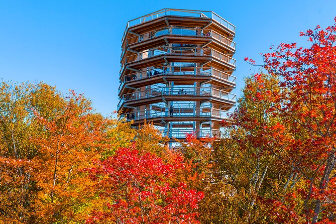 Access to Mont-Tremblant Treetop Observatory and Walk - Visitor Feedback and Considerations