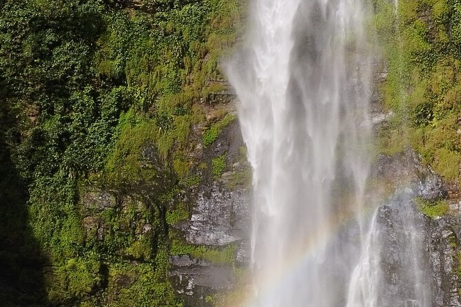 Accra: Wli Waterfalls and Tafi Monkey Sanctuary Private Day Tour - Accessibility and Participation