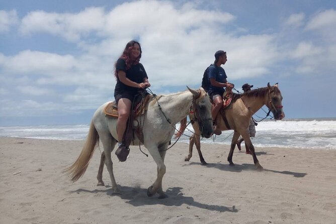 AfroMex Village Beach Horseback Baby Turtle Release & Crocs Farm - Transportation and Accessibility