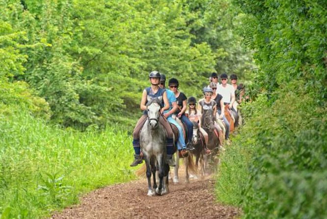 Agadir 2-Hour Private Horse Riding Experience With Pickup - What to Expect