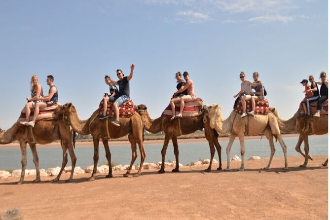 Agadir Camel Ride Experience - Guest Feedback and Ratings