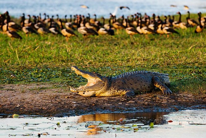 Agadir Crocoparc With Transfer & Admission Ticket - Flexible Booking and Cancellation Policy