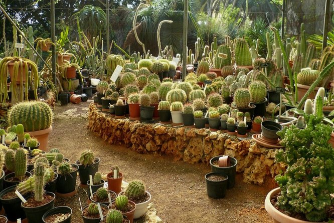 Agadir Paradise Valley Excursion & Breakfast - Customer Feedback and Reviews