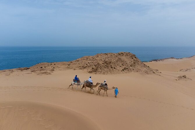 Agadir Sand Dunes and Camel Ride in Tifnit With Lunch - Customer Feedback and Ratings