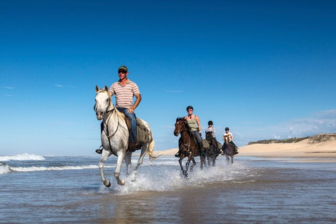Agadir/Taghazout Horse Ride on the Beach - Memorable Experiences and Highlights