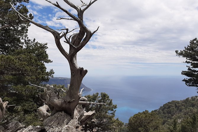 AGIA ROUMELI-PAPOURA Peak, Hike Adventure - Safety Considerations