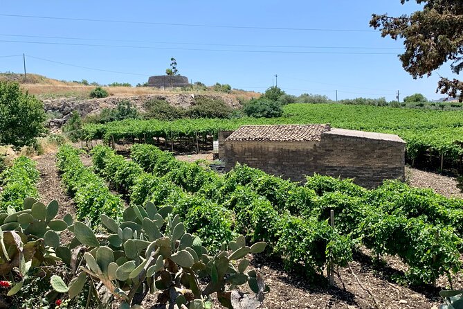 AGRIGENTO and WINERY Private Tour With Guide Driver - Health and Accessibility