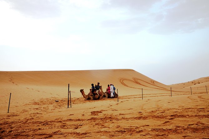 Al Ain Desert Safari With Buffet Dinner - Accessibility and Fitness Requirements