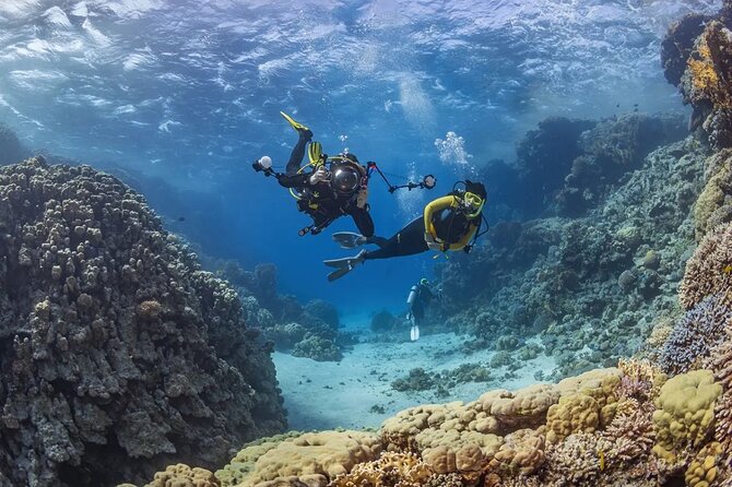 Alanya Scuba Diving Tour - Scuba Diving Highlights