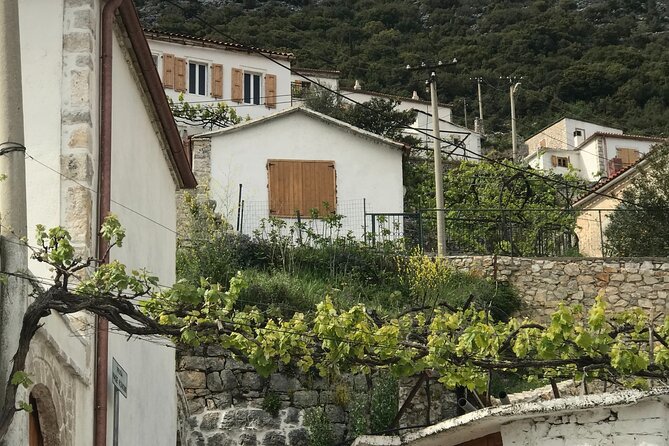 Albania Multi-City 8-Day Group Tour  - Tirana - Traveler Photos Showcase
