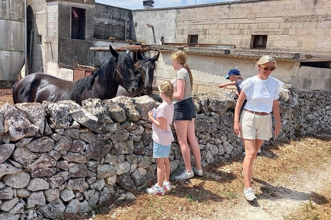 Alberobello by E-Bike. Trulli, Countryside, Mill, and Donkeys - Exploring Alberobello and Trulli