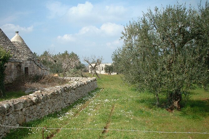 Alberobello - Unusual and Instagrammable Trulli - Urban Trail - Visiting Locorotondo