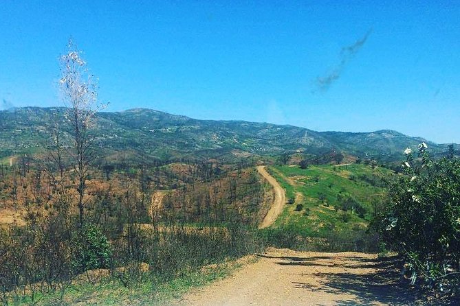Algarve Charms - 7 Hours (Barrocal or Serra De Monchique) - Traveler Feedback