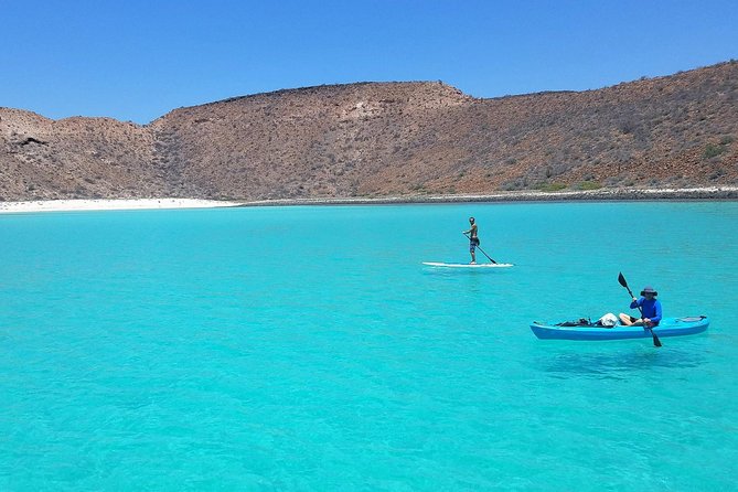 All-Inclusive Catamaran Tour | Beaches & Sea Lions From Los Cabos - Meal and Beverage Offerings