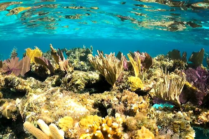 All-Inclusive Day-Trip From Nassau to Andros Bahamas - Accessibility and Restrictions