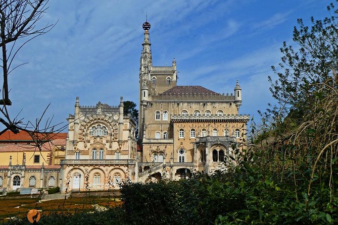 Alliance Underground Museum and Bussaco Forest - Coimbra - Cancellation Policy and Booking Process