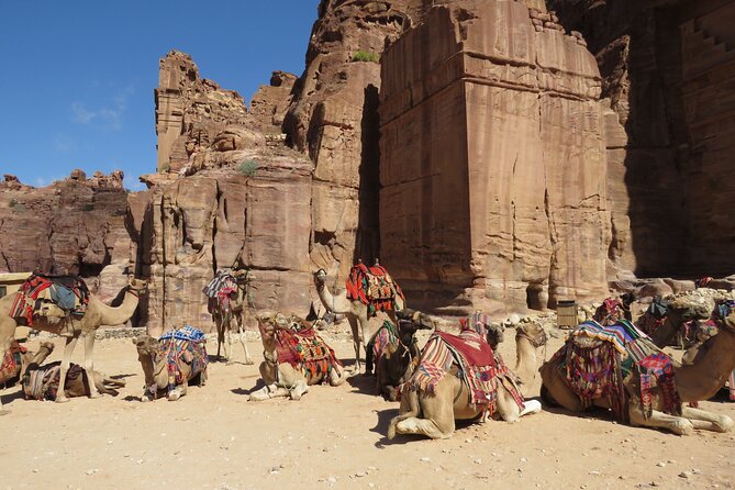 Amman to Petra Round Trip - Weather and Fitness Considerations