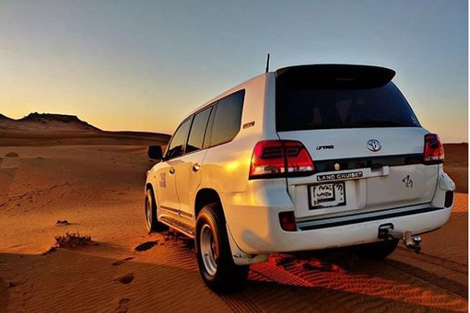 Arabian Desert Experience In Dubai - Customer Reviews and Ratings