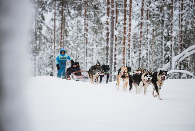 Arctic Circle Highlights Family Day By Minibus - Transportation Details