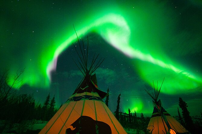 Arctic Day: Aurora Viewing Tour | Late Night - Aurora Viewing Experience
