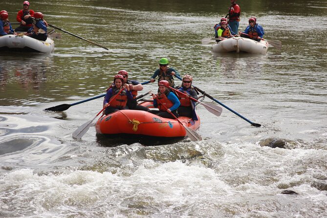 Arizona Rafting on the Salt River - Half Day Rafting Trip - Why Choose Mild to Wild Rafting