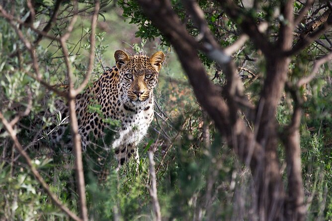 Around Gaborone Adventure - Meeting and Pickup Details