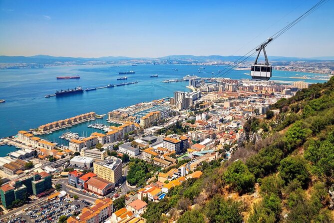 Arrival Transfer: Malaga Airport AGP to Malaga by Luxury Van - Accessibility Information