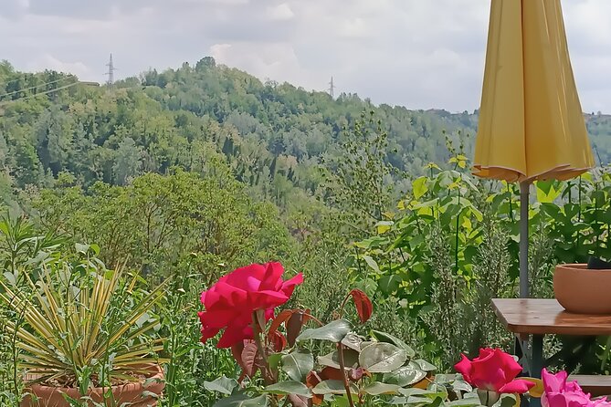 Art Classes in Monferrato Hills - Accessibility Features