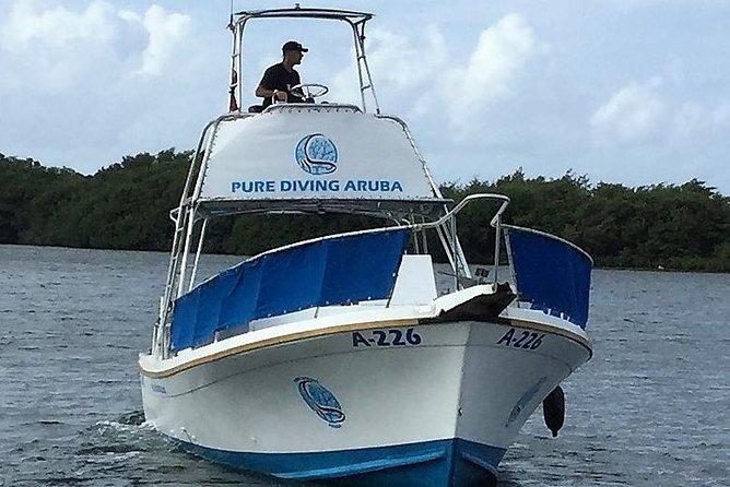 Aruba 1-Tank Night Dive With Rental Gear for Certified Divers - Diving Equipment Rental