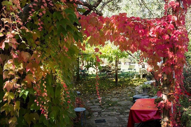Assisi, Deruta & Organic Gourmet Lunch at the Olive Oil Farmhouse From SIENA - Explore Assisi, Deruta, and Farmhouse