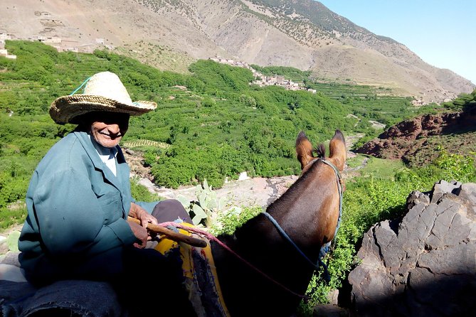 Atlas Mountains, Waterfalls and Berber Villages With a Guide - Connecting With Local Culture