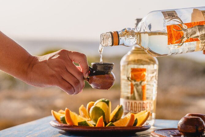 ATV Tour, Camel Ride, Tequila Tasting and Mexican Buffet Lunch - ATV Ride and Camel Safari
