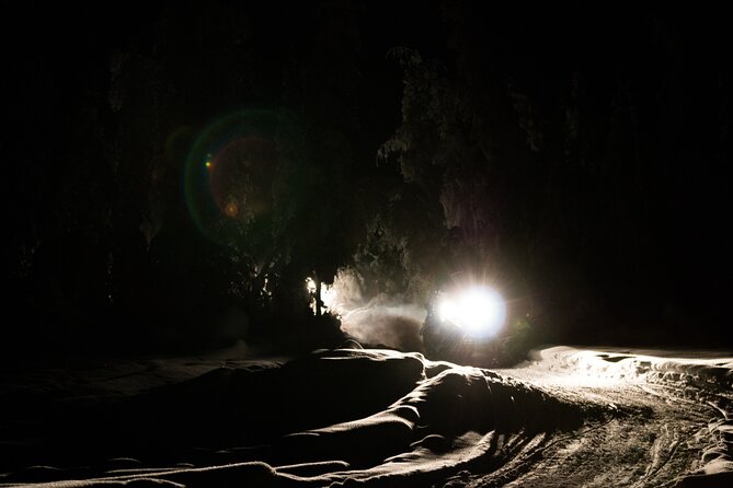 Aurora Sleighers Snowmobile Tour in Fairbanks - Guide Expertise and Support