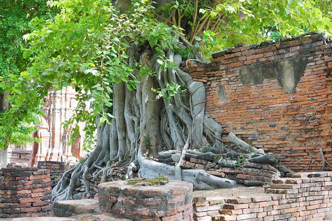 Ayutthaya Evening Tour With Dinner - Booking Information and Tips