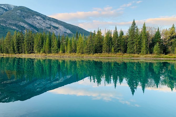 Banff (Canmore) to Calgary Public Shuttle - Luggage and Accessibility