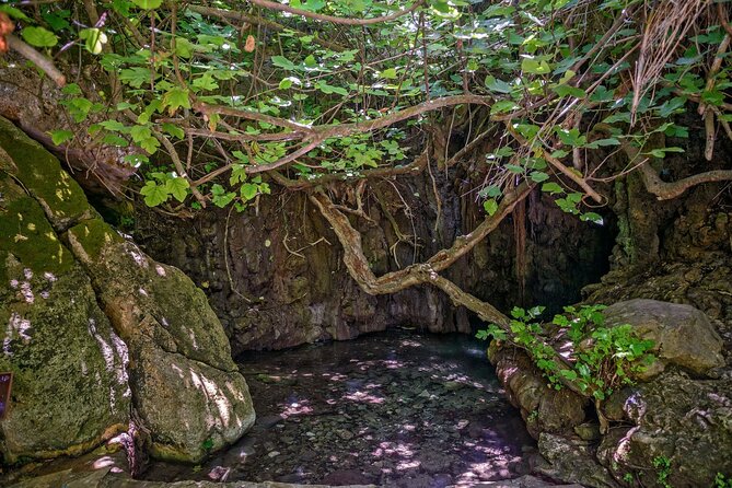 Baths of Aphrodite, Latchi and Blue Lagoon Cruise Tour - Exploration of Baths of Aphrodite